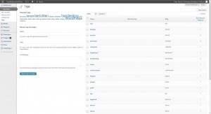 WordPress berichten - tags onderwerpen - Handleiding WordPress door Compass Creations webdesign Gouda